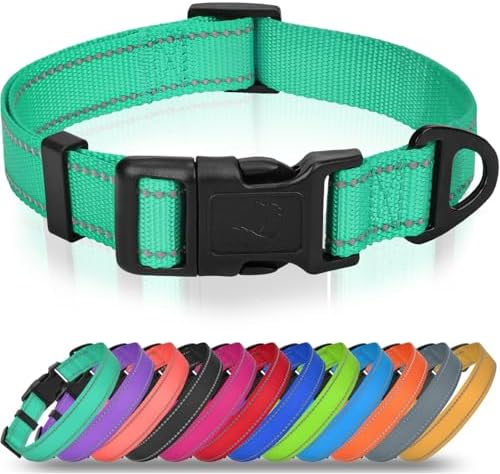 Joytale Feather-Light Dog Collar for Extra Large Dogs, 1 1/4", Turquoise