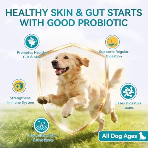 Probiotics for Dogs, 200 Soft Chews with Digestive Enzymes and Prebiotics, Daily Digestive Support for Gut Health and Stool Balance, Chicken Flavor