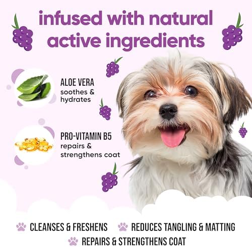 Grape Scented Puppy Shampoo by Buddycare | For Smelly Dogs from 8 Weeks | Aloe Vera & Pro Vitamin B5 (16.90oz)