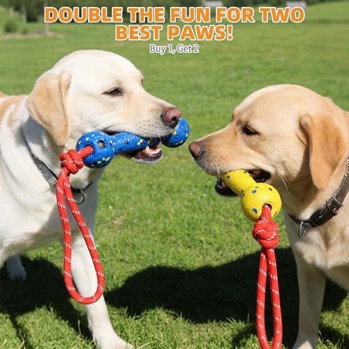 KOOLTAIL Floating Dog Pool Toy Bumpers with Rope, 2-Pack, Yellow & Blue