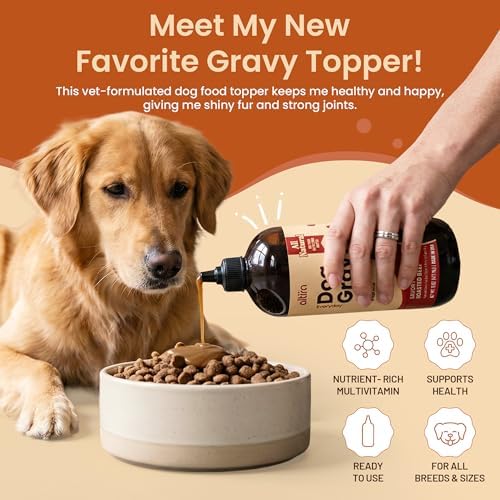 Everyday Dog Gravy - Premium Wet Dog Food Gravy Toppers for Dry Food – Tasty & Nutritious with Essential Vitamins and Supplements – Hip and Joint Supplement (Bacon & Beef Bundle)