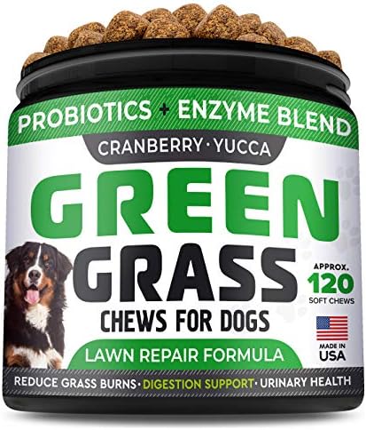 StrellaLab Grass Restore Treats for Dogs - Dog Pee Lawn Repair Chew Probiotics + Digestive Enzymes, Cranberry - Dog Urine Neutralizer for Grass Burn Spots - Health & Wellness Supplements for Dog