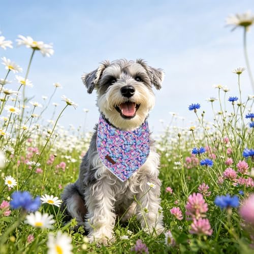 Lionet Paws Spring Summer Oxalis Dog Bandana Washable Cotton Handkerchief Scarf Triangle Blue Flower, Large (Pack of 1), Medium, Blue