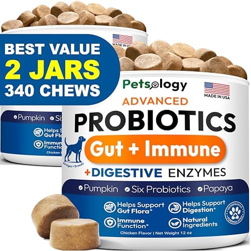 (2 Pack) Probiotics for Dogs - 340 Dog Probiotics Chews - Digestive Enzymes
