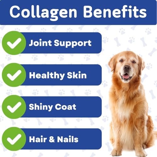 Collagen & Bone Broth for Dogs – Hip + Joint Support, Gut Health for Hair, Skin & Nails – with Glucosamine, MSM, Chondroitin, Turmeric – Natural Treats Made with Real Chicken & Beef
