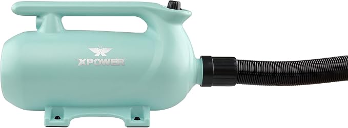 XPOWER B-163 High Velocity Pet Dryer (Mint Green)