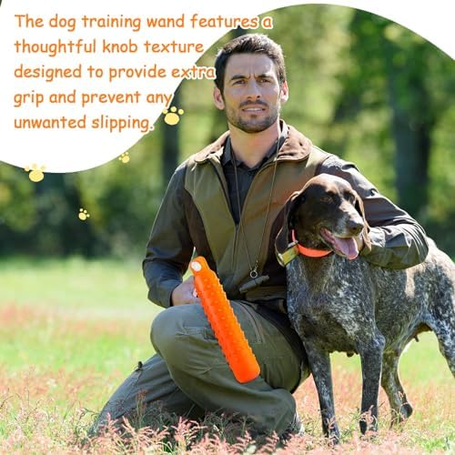 Blueweenly Orange Dog Bumper Toy Training Dummy, 6 Pcs | Plastic Lightweight Floats on Water, Textured with Rope for Fetch, Pool Outdoor Retrieving, Summer Water Play