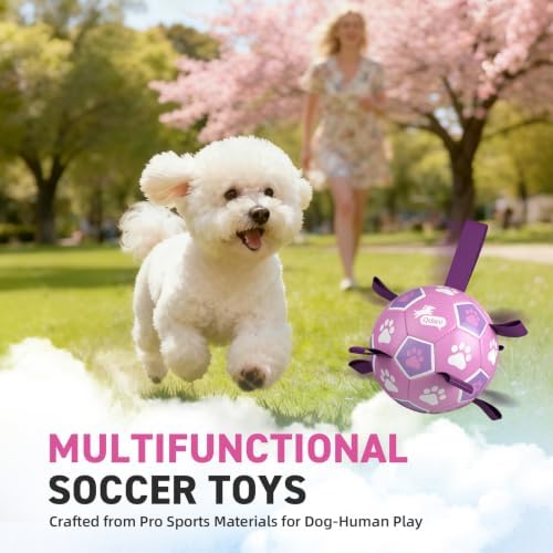QDAN Dog Toys, Durable Dog Soccer Ball with Straps to Keep Them Busy,6 Inch | Puppy Toy Balls for Small Medium Dogs, Outdoor Dog Beach Water Pool Toys Tug Toys, Interactive Toy, Puppy Birthday Gifts