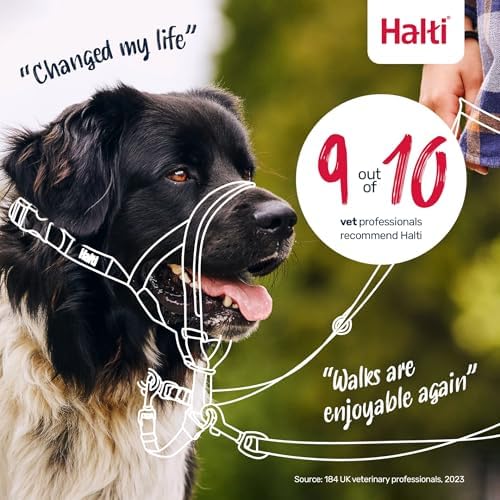 Halti Headcollar | Size 1, Burnt Orange | Training Collar for Small Dogs