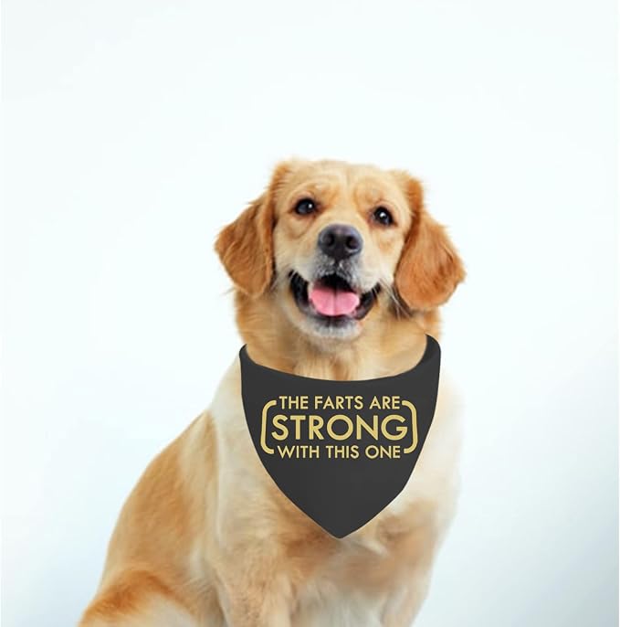 JXGZSO 1 Piece The Farts are Strong with This One Dog Bandana Funny Dog, 70cm * 34cm