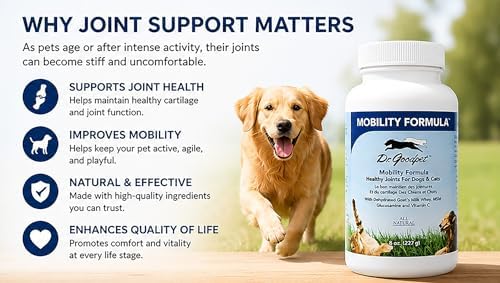 Dr. Goodpet Mobility Formula | All-Natural Hip & Joint Support Powder for Dogs & Cats with MSM, Glucosamine, Vitamin C and Goat’s-Milk Whey | Effective Joint Pain Relief for Active, Aging Pets