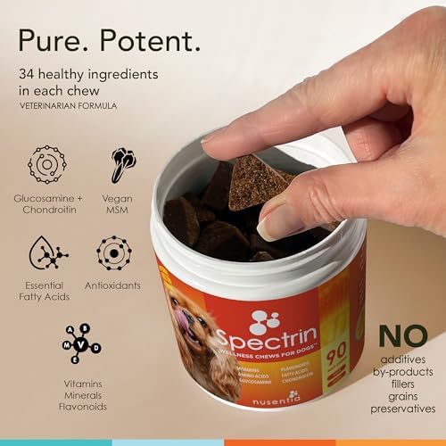 Chew Vitamins for Dogs (90 ct), Glucosamine for Joint Support with Antioxidants, Omega-3 & Vitamins for Skin, Liver and Heart Health - Spectrin