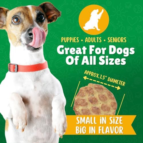 Lucky Premium Treats Duck Mini Chips Dog Treats – Unique Protein Duck Jerky Dog Treats, Made in USA, High Protein, Tender Crunchy Training Treats for Dogs, Bite-Sized Rewards - 3 oz.