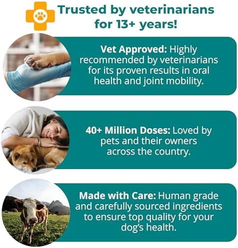 1TDC WorksSoWell Dual Action Hip and Joint Supplement for Dogs & Cats - for Large & Small Breed - Great for Oral Health, Stamina Recovery & Arthritis Pain Relief -60 ct