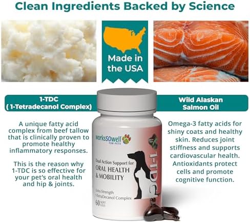 1TDC WorksSoWell Dual Action Hip and Joint Supplement for Dogs & Cats - for Large & Small Breed - Great for Oral Health, Stamina Recovery & Arthritis Pain Relief -60 ct