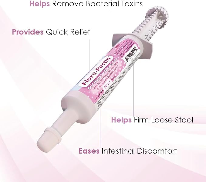 Oral Paste for Dogs & Cats (2 Pack, 30 CC - Tasty Chicken)
