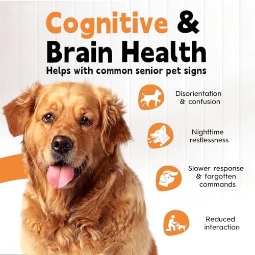 Brain & Heart Health Prevention Ginkgo Biloba Extract for Dogs & Cats ﻿