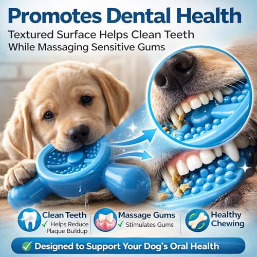 Dog Chew Toy for Aggressive Chewers – Tough Nylon Dog Toy for Teething Small Breeds, Durable Puppy Bone for Teeth Cleaning & Boredom Relief, Ideal Dog Birthday Gift,Ocean Blue