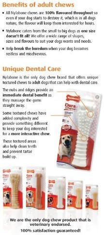Nylabone 3 Pack of DuraChew Bone Dog Toy, XL/Giant, Chicken Flavor, Made in The USA