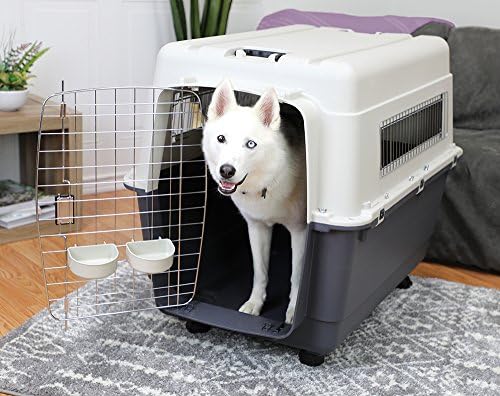 SportPet Designs Plastic Kennels Rolling Plastic Wire Door Travel Dog Crate- XX-Large