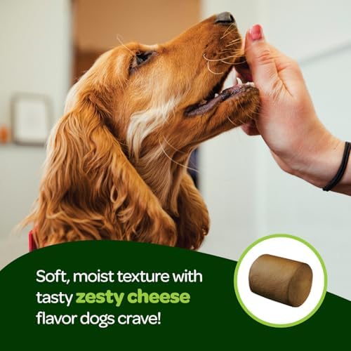 Probiotic Chews for Dogs Gut Health | Tasty Pre and Probiotics for Dogs Digestive Health with Pumpkin Dog Probiotics and Digestive Enzymes | NASC Certified & Made in The USA | 60 Chews (Pack of 2)