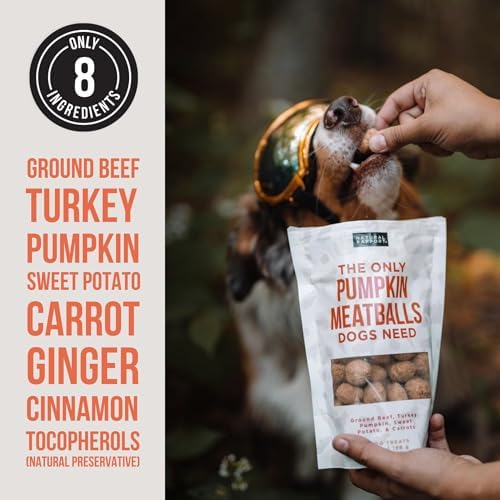 Natural Rapport Freeze-Dried Pumpkin Meatballs, Beef & Turkey, 4 oz