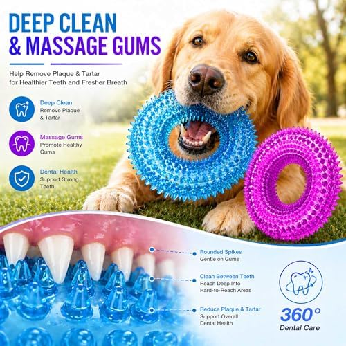 Dog Chew Toy, Squeaky Floating Donut Rings, 2-Pack, Blue & Purple