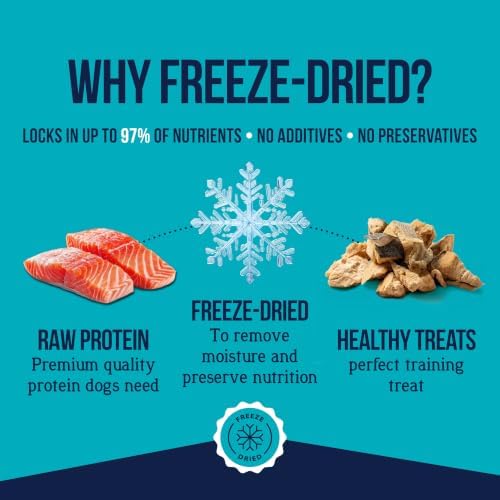 Stewart Freeze Dried Dog Treats, 100% Wild Salmon, 2.75 oz Tub
