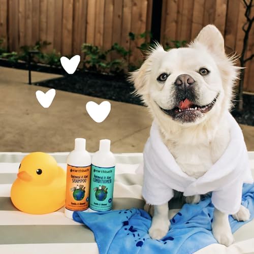 earthbath, Oatmeal & Aloe Conditioner - Dog Conditioner for Allergies & Itching, Dry Skin, Dog Wash that Helps Detangle & Relieve Itching, Made in USA, Cruelty Free Pet Conditioners - 16 Oz (1 Pack) | Dog Conditioner for Allergies & Itching, Dog Wash T...