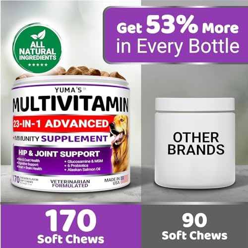 (2 Pack) Dog Multivitamin Chewable - 340 Ct - Dog Vitamins and Supplements | Senior & Puppy Multivitamin for Dogs - Hip & Joint Support - Immune Health, Skin, Heart, Digestion, Probiotics