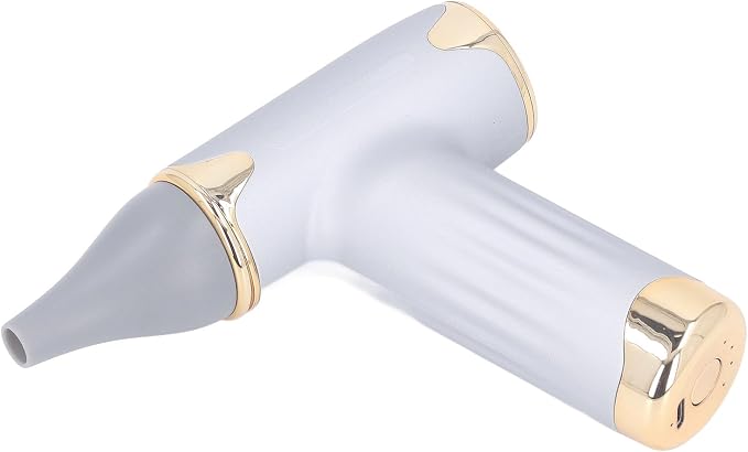 Tbest Pet Hair Dryer, High Speed 4 Levels Wind Bladeless 60W Electric Hair Dryer Handheld Dust Blower for Cats Dogs (Silver