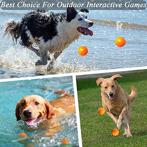 Indestructible Dog Toys, Solid Rubber Balls, Medium & Large Dogs