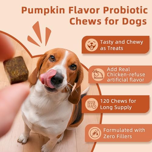 ZEBORA Probiotics for Dogs, Supports Digestive Health, 120 Soft Chews