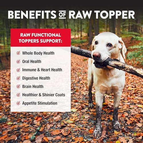 Northwest Naturals Freeze-Dried Beef Blood Topper for Dogs & Cats - 3.5oz