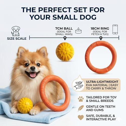 Small Dog Ball with Strap, Floating EVA, Orange
