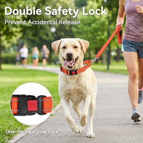 Joytale Martingale Collar for Dogs, Escape Proof No Pull, Orange, L