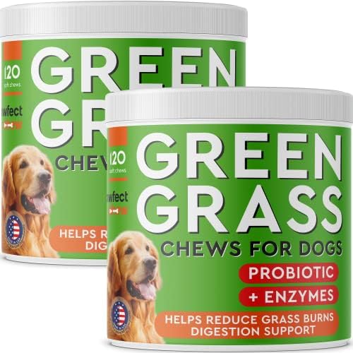 PAWFECTCHEW Green Lawn Chews for Dogs Urine Neutralizer