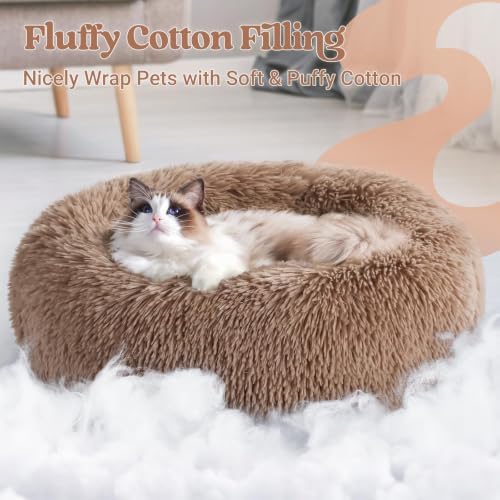 rabbitgoo Calming Cat Beds for Indoor Cats, 20 inches, Light Brown