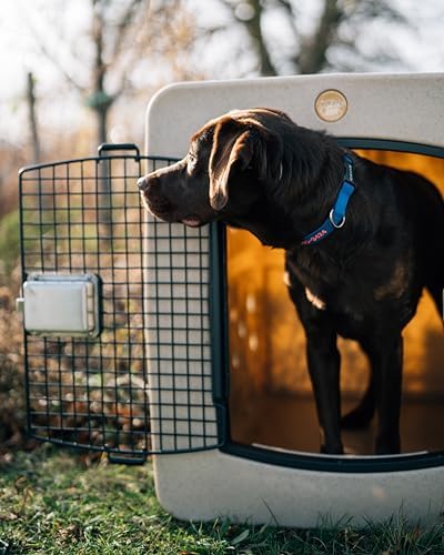 dakota283 D2-G3XLG-FRM-COY Extra Large Kennel - Frame Door - Coyote Granite