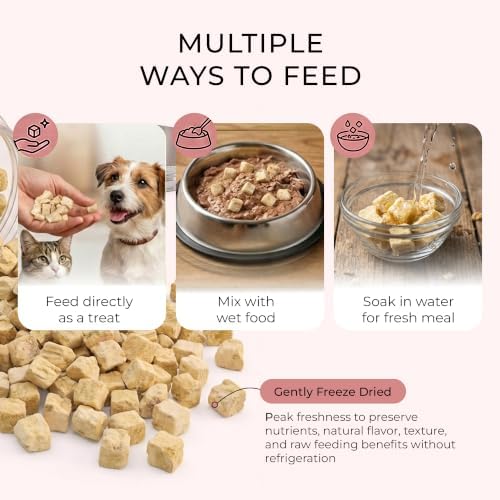 BLACK FOX Freeze-Dried Salmon Treats for Dogs & Cats - 280ct, 4oz