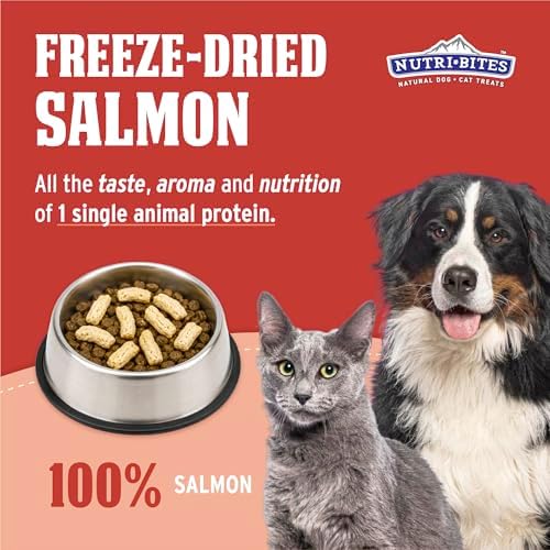 Nutri Bites Freeze Dried Salmon Dog & Cat Treats, Single Ingredient, Single