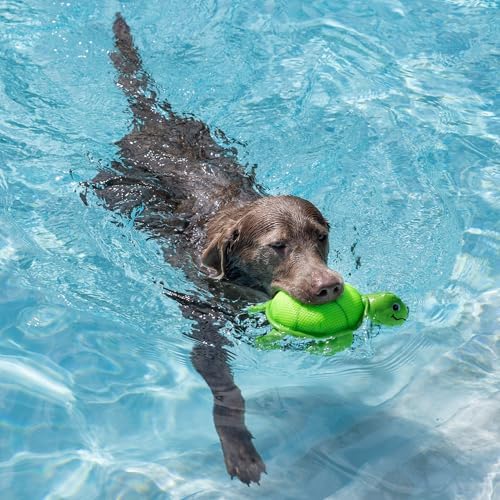 Fringe Studio Snappy Floating Dog Toy, Pet Shop Collection