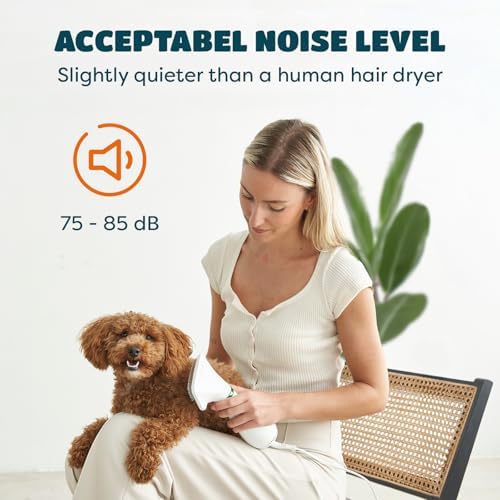 2-in-1 Dog Hair Dryer with Brush for Small Dogs and Cats, Pet Blow Dryer | Pet Grooming Dryer, Dry & Brush in One, 300 Watts, 75-85 dB, Adjustable Temperature, Overheat Protection, Portable