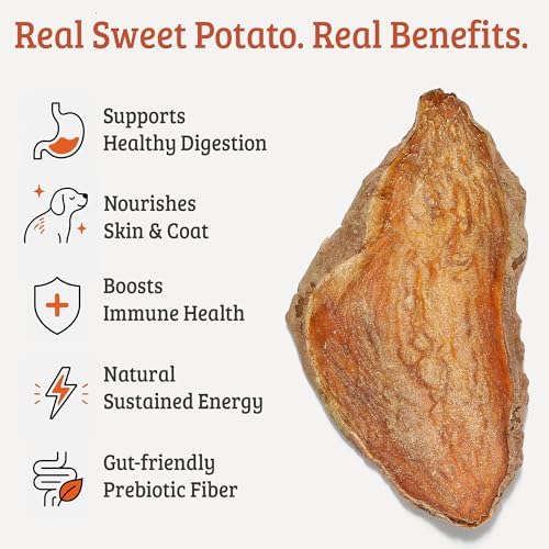 Barkz Veggies Sweet Potato Dog Treats – USA Grown Single Ingredient Dehydrated Slices – Sweet Potato Chews for Dogs with Sensitive Stomachs – Grain Free, No Fillers – 1 lb