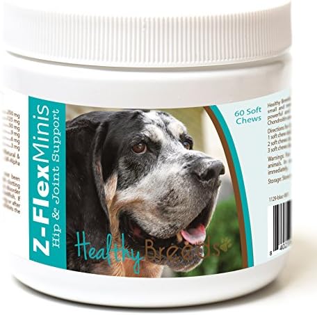 Healthy Breeds Bluetick Coonhound Z-Flex Minis Hip and Joint Support Soft Chews 60 Count