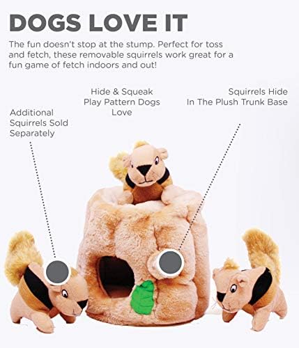 Outward Hound Hide A Squirrel Plush Dog Toy Puzzle (Large) and Benebone Wishbone Durable Dog Chew Toy (Medium)