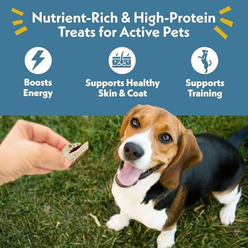 Fresh Is Best Beef Liver Fillets Freeze Dried Dog Treats for Cats & Dogs