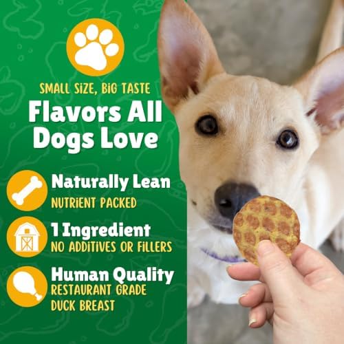 Lucky Premium Treats Duck Mini Chips Dog Treats – Unique Protein Duck Jerky Dog Treats, Made in USA, High Protein, Tender Crunchy Training Treats for Dogs, Bite-Sized Rewards - 3 oz.