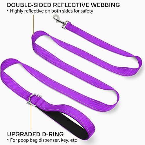 Joytale Dog Collar (10-16") and 6FT x 3/4" Wide Dog Leash Set, Reflective and Adjustable Nylon Collar and Padded Handle Leash for Small Dogs, Purple, S