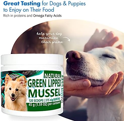 Green Lipped Mussel Powder for Dogs, All-Natural Hip & Joint Support Dietary Supplement Formula for Dogs (120 Servings)